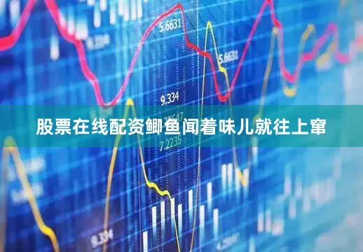股票在线配资鲫鱼闻着味儿就往上窜