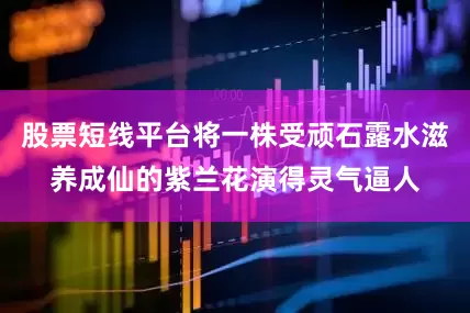 股票短线平台将一株受顽石露水滋养成仙的紫兰花演得灵气逼人