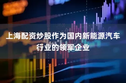 上海配资炒股作为国内新能源汽车行业的领军企业