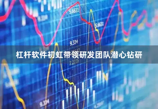 杠杆软件初虹带领研发团队潜心钻研