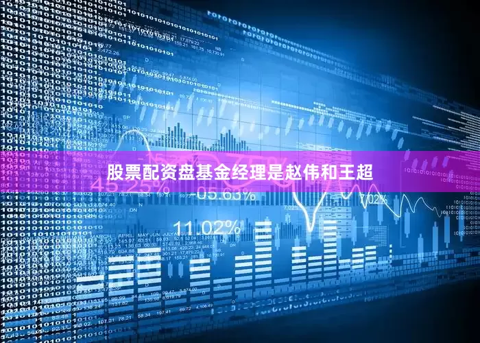 股票配资盘基金经理是赵伟和王超